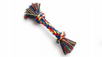 Toys & Accessories